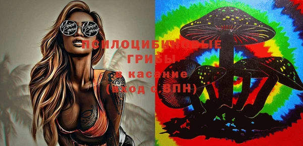 прущие крисы Каменск-Шахтинский