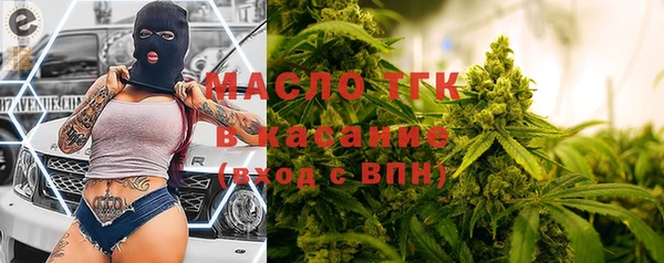 гидропоника Каменка
