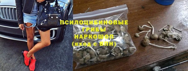 первитин Каменногорск