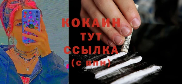 гидропоника Каменка