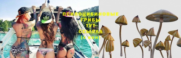 прущие крисы Каменск-Шахтинский
