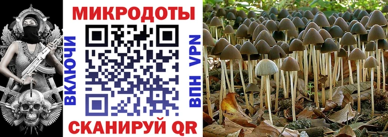 МЕГА онион  Югорск  Псилоцибиновые грибы GOLDEN TEACHER 
