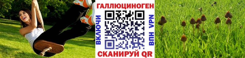 Галлюциногенные грибы Psilocybine cubensis Югорск