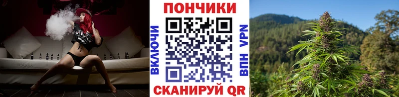 где продают   Югорск  Шишки марихуана Amnesia 